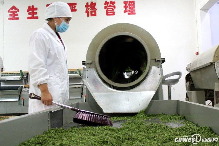 陕西推广茶叶生产全程机械化 购置设备**高可享24%补贴